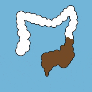 949-Parachoc_StoolFlow_Animation_SOFTENER